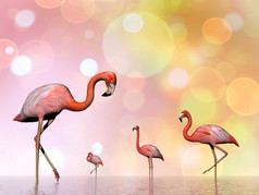 更大的火烈鸟走成水粉红色的散景背景渲染