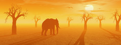 沙漠与很多Baobab树鸟和大象日落非洲萨凡纳