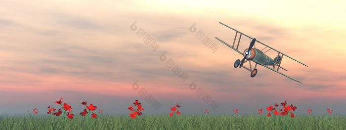 古董双翼飞机站的绿色草与花粉红色的日落双翼飞机的草渲染