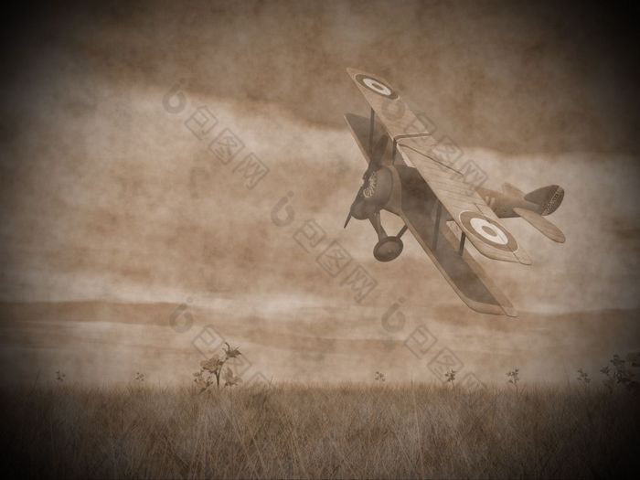 古董图像双翼飞机飞行在的草与花双翼飞机飞行渲染