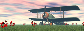 古董双翼飞机站的绿色草与花粉红色的日落双翼飞机的草渲染