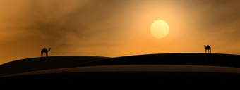 两个骆驼筒仓看<strong>的太阳的</strong>沙漠日落