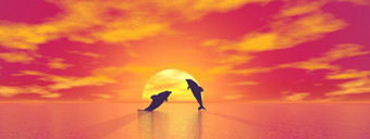 影子两个<strong>小海豚</strong>跳的海洋向的太阳红色的日落