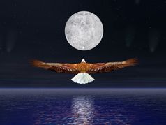 美丽的鹰飞行的完整的月亮晚上与彗星和星星鹰飞行的月亮渲染