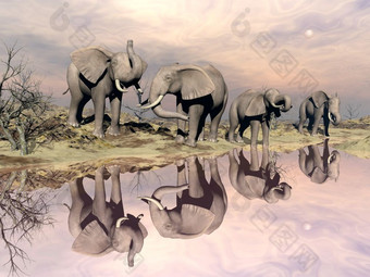 许多大象站的沙漠下一个安静的水日落光大象和水渲染