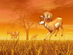 母狮跳羚羊和其他人运行走了的自然橙色日落