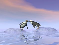 两个企鹅站单独的冰山和尝试吻每一个其他在的水
