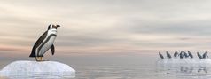 一个企鹅站独自一人小冰山和看所有的其他人远走了另一个大冰山