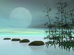 竹子下一个石头行领先的的月亮绿色背景