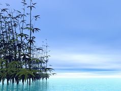 竹子和水美丽的蓝色的一天竹子渲染