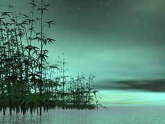 竹子水成绿色晚上背景Zen自然渲染