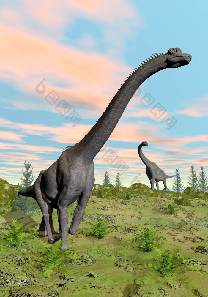 两个腕龙恐龙自然与绿色草色彩斑斓的日落腕龙恐龙渲染