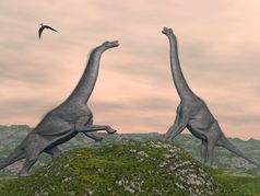 两个腕龙恐龙战斗多云的日落翼龙鸟飞行腕龙恐龙战斗渲染