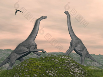 两个腕龙恐龙战斗多云的日落翼龙鸟飞行腕龙恐龙战斗渲染