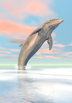 一个海豚跳在的海洋日落光自由的海豚渲染