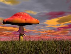 一个仙女红色的蘑菇的绿色草色彩斑斓的多云的日落幻想蘑菇渲染