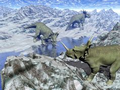 三个styracosaurus恐龙冰冷的沙漠景观与水蓝色的一天styracosaurus附近水- - - - - -渲染