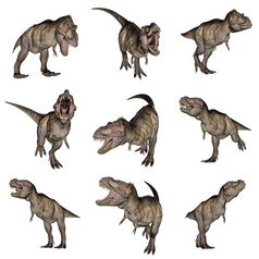 集九个暴龙雷克斯恐龙白色背景暴龙雷克斯恐龙渲染