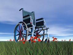 一个轮椅站的草完整的红色的花一天轮椅自然渲染