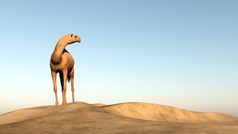 骆驼站在沙子沙丘和看后面他渲染