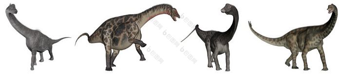 侏罗纪蜥脚类动物恐龙腕龙双龙梁龙和棘龙渲染