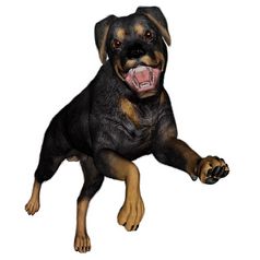 rottweiller狗市政府孤立的白色背景渲染rottweiller狗市政府渲染