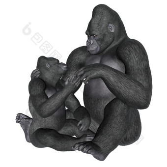 大猩猩母亲孤立的白色背景渲染大猩猩母亲渲染