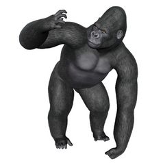 愤怒的大猩猩孤立的白色背景渲染愤怒的大猩猩渲染