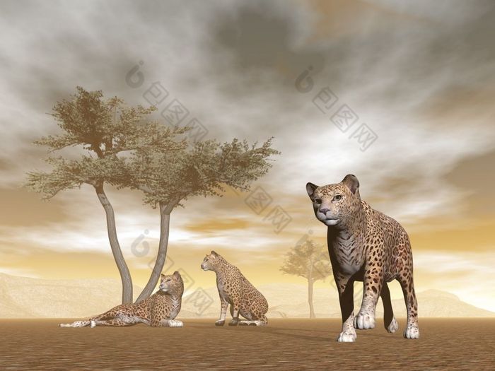捷豹群与婴儿和伞树胶的萨凡纳渲染捷豹的萨凡纳渲染