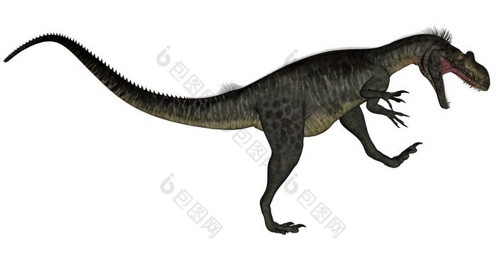 斑龙恐龙咆哮的孤立的白色背景渲染斑龙恐龙渲染