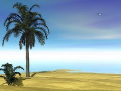 棕榈树海滩和海洋美丽的一天渲染