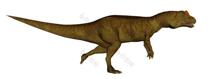 异特龙恐龙运行孤立的白色背景渲染异特龙恐龙运行渲染