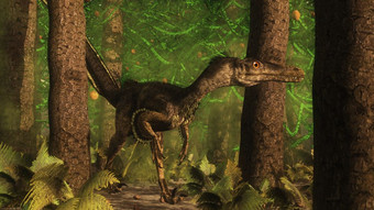 伶盗龙恐龙<strong>观察</strong>araucaria树森林渲染伶盗龙恐龙的森林渲染