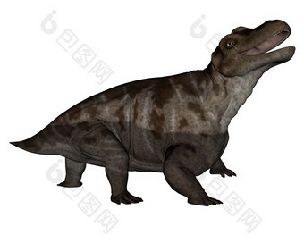 keratocephalus恐龙<strong>咆哮</strong>的孤立的白色背景渲染keratocephalus恐龙<strong>咆哮</strong>的渲染