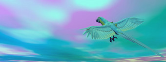 军事金刚鹦鹉鹦鹉飞行飞行蓝色的天空渲染军事金刚鹦鹉鹦鹉飞行渲染