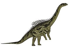 阿古斯蒂尼亚恐龙站孤立的白色背景渲染阿古斯蒂尼亚恐龙渲染