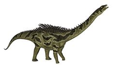 阿古斯蒂尼亚恐龙把头孤立的白色背景渲染阿古斯蒂尼亚恐龙渲染