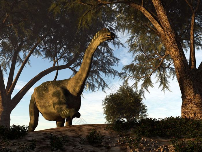 跗骨龙恐龙走在塔马里斯树渲染跗骨龙恐龙渲染