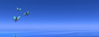 蓝色的蝴蝶飞行的地平线在的海洋渲染蓝色的蝴蝶飞行的地平线渲染