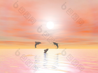 影子三个<strong>小海豚</strong>跳在的海洋日落