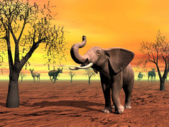 野生动物大象和斑马的萨凡纳日落萨凡纳场景渲染