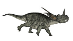 styracosaurus恐龙运行白色背景:渲染