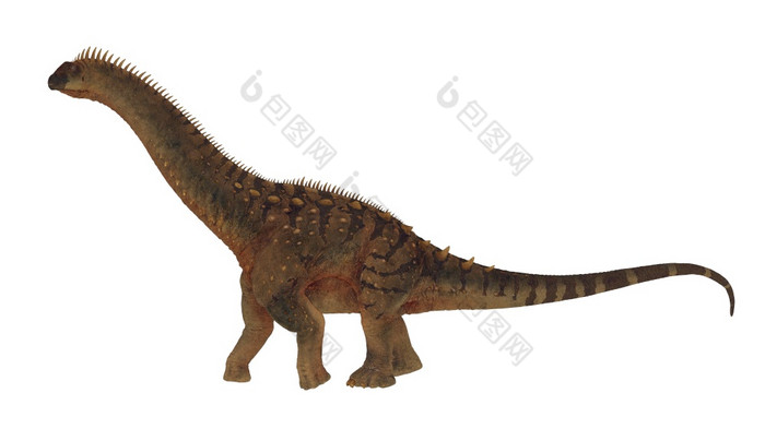 阿拉莫龙恐龙走孤立的白色背景渲染阿拉莫龙恐龙走和平渲染