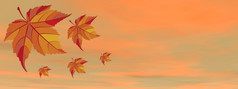 秋天叶子的天空背景日落渲染秋天叶子的天空背景渲染