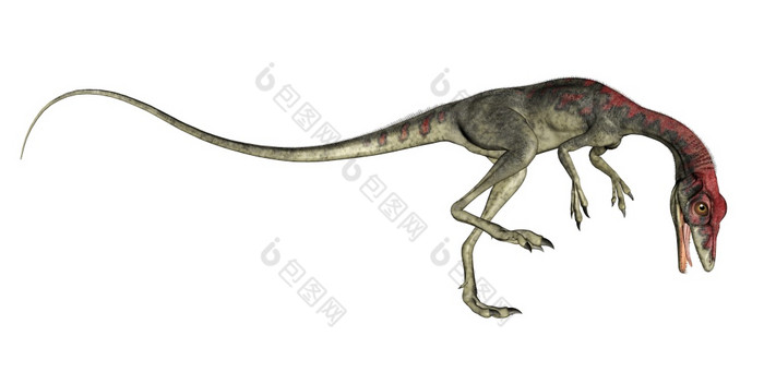 秀颌龙恐龙咆哮的孤立的白色背景渲染秀颌龙恐龙咆哮的渲染