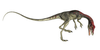 秀颌龙恐龙咆哮的孤立的白色背景渲染秀颌龙恐龙咆哮的渲染