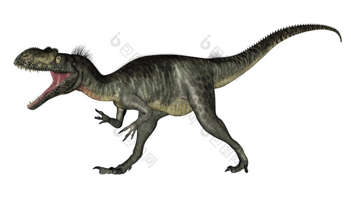 斑龙恐龙咆哮的孤立的白色背景渲染斑龙恐龙咆哮的渲染