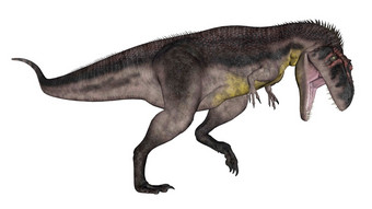 tyrannotitan恐龙咆哮的孤立的白色背景渲染tyrannotitan恐龙咆哮的渲染