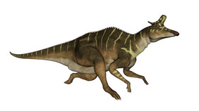 赖氏龙恐龙运行孤立的渲染赖氏龙恐