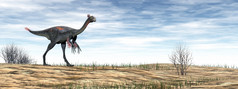 gigantoraptor恐龙走的沙漠一天渲染gigantoraptor恐龙的沙漠渲染